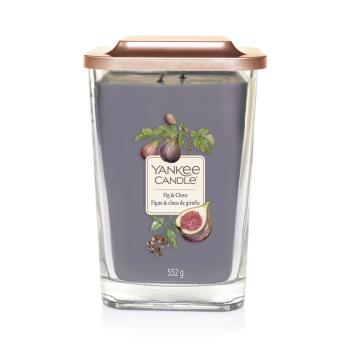 Yankee Candle 552g - Fig & Clove - Elevation großes Glas - 2 Docht